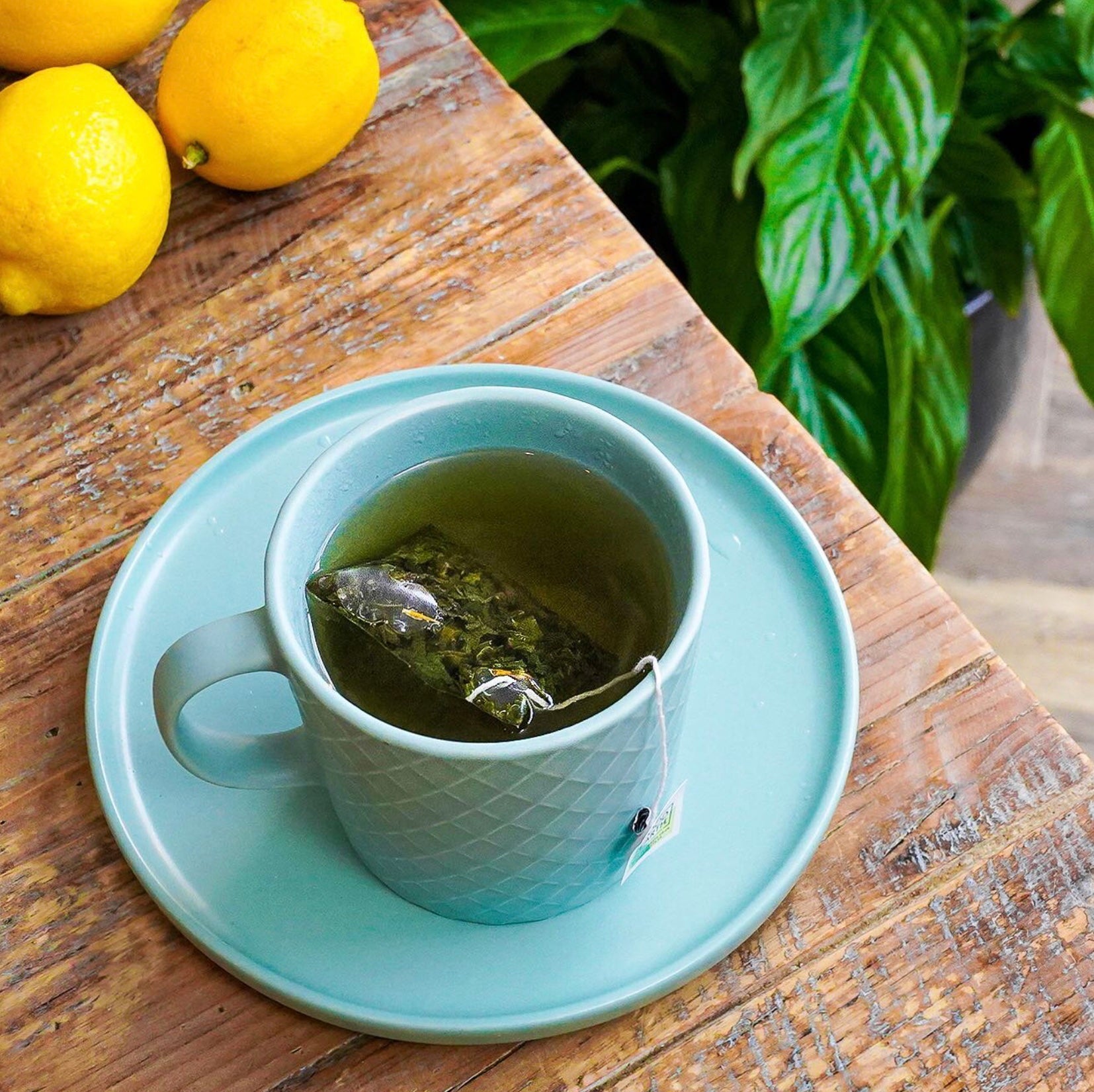 Green tea with lemon at night best sale